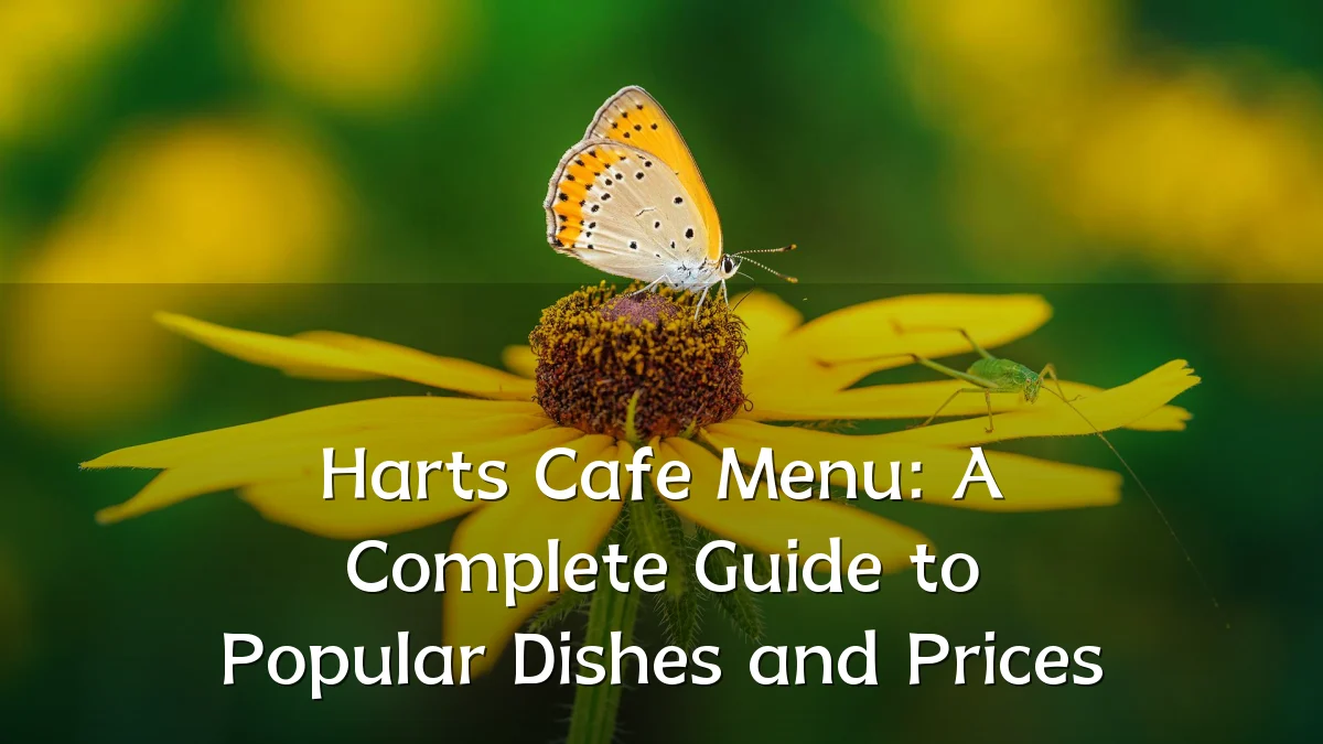 Harts Cafe Menu: A Complete Guide to Popular Dishes and Prices