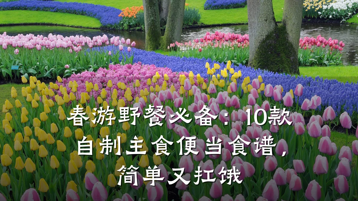 春游野餐必备：10款自制主食便当食谱，简单又扛饿