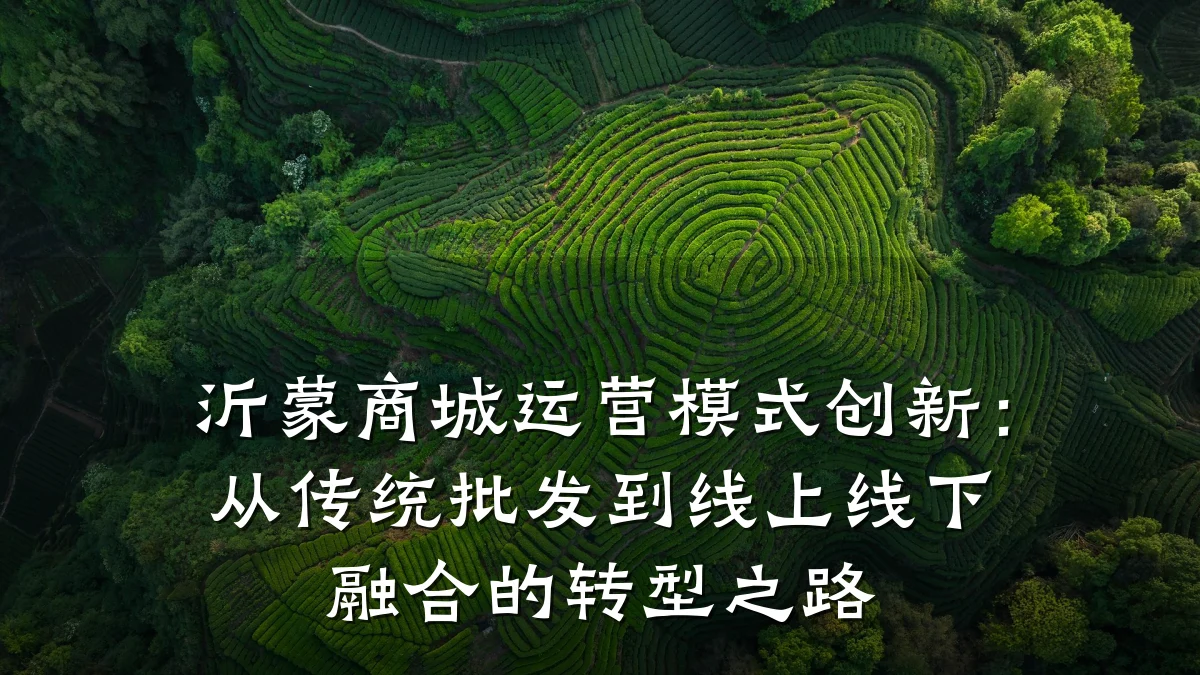 沂蒙商城运营模式创新:从传统批发到线上线下融合的转型之路