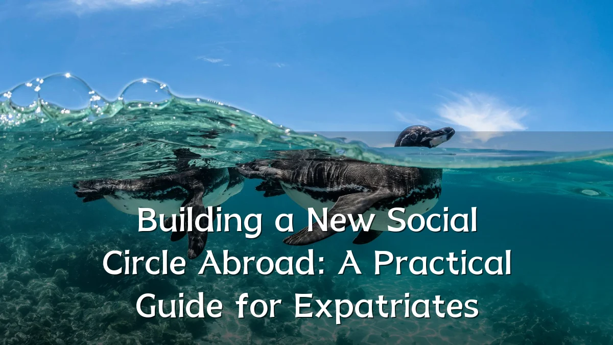 Building a New Social Circle Abroad: A Practical Guide for Expatriates