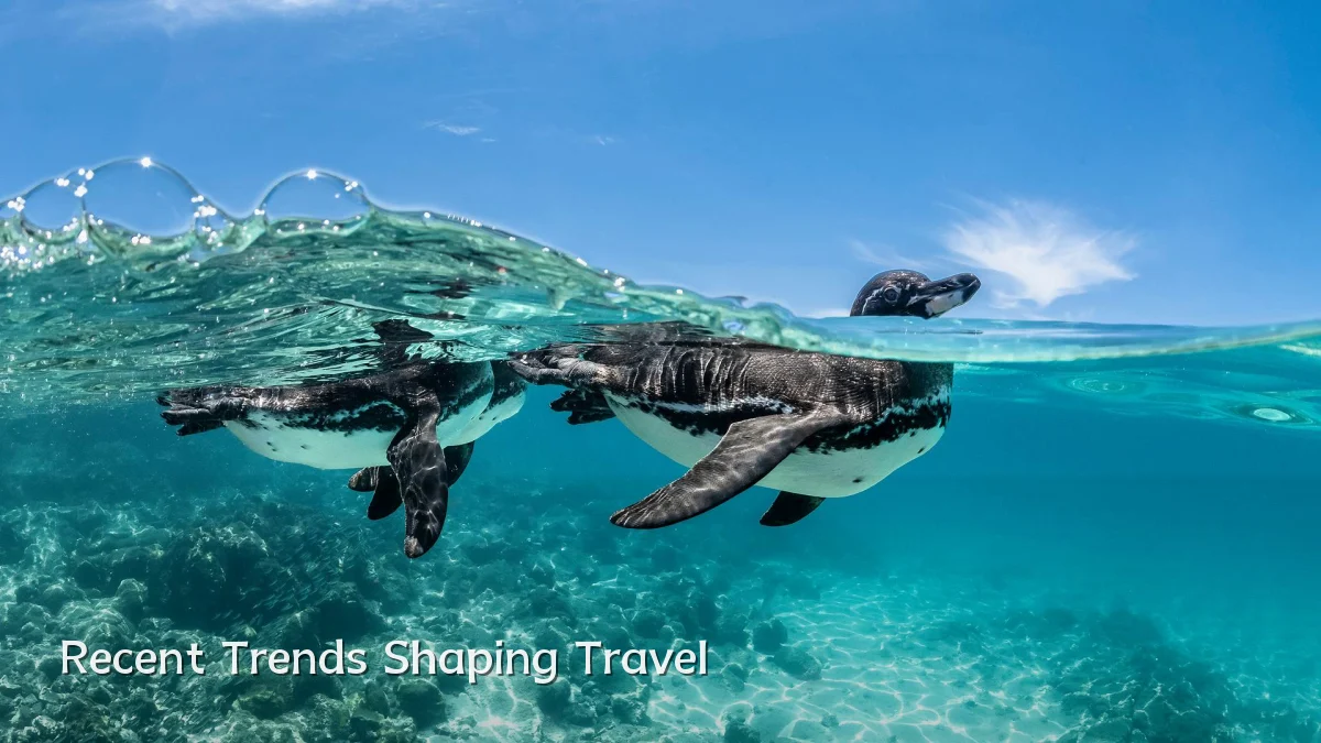 Recent Trends Shaping Travel