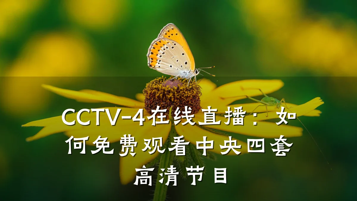 CCTV-4在线直播:如何免费观看中央四套高清节目
