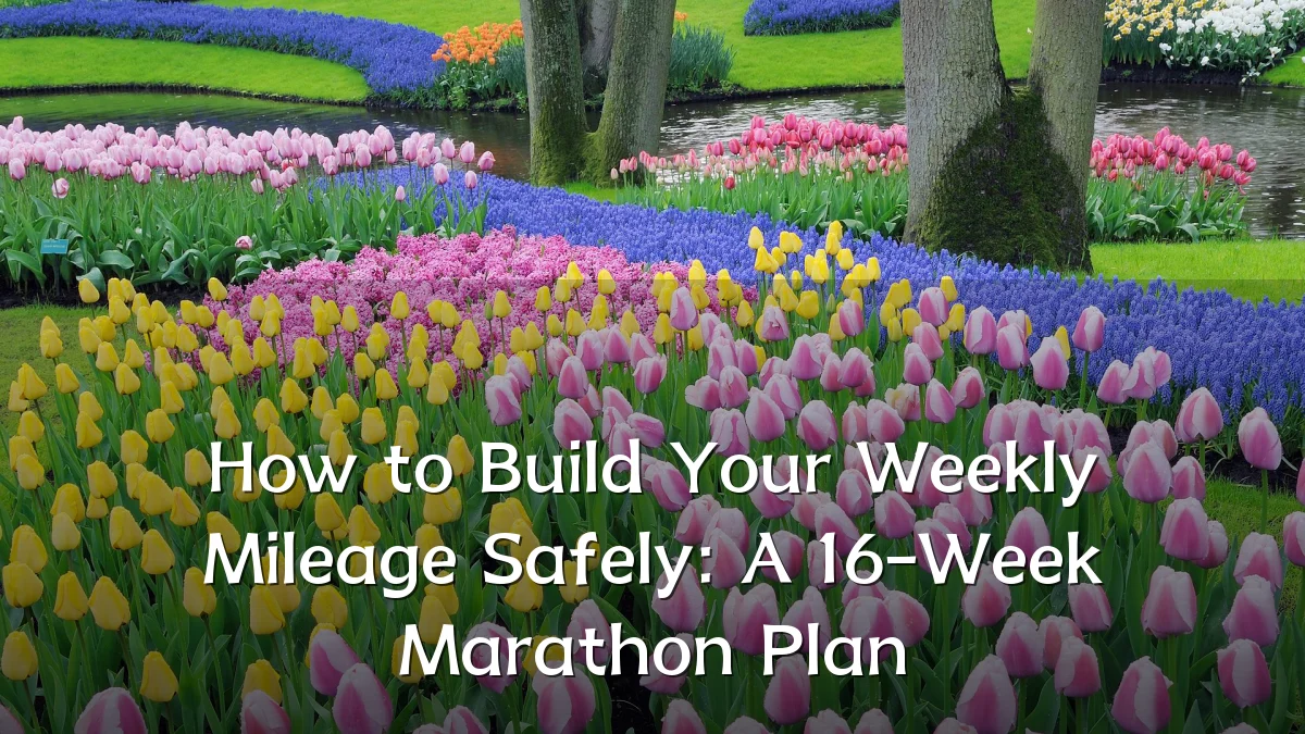 How to Build Your Weekly Mileage Safely: A 16-Week Marathon Plan
