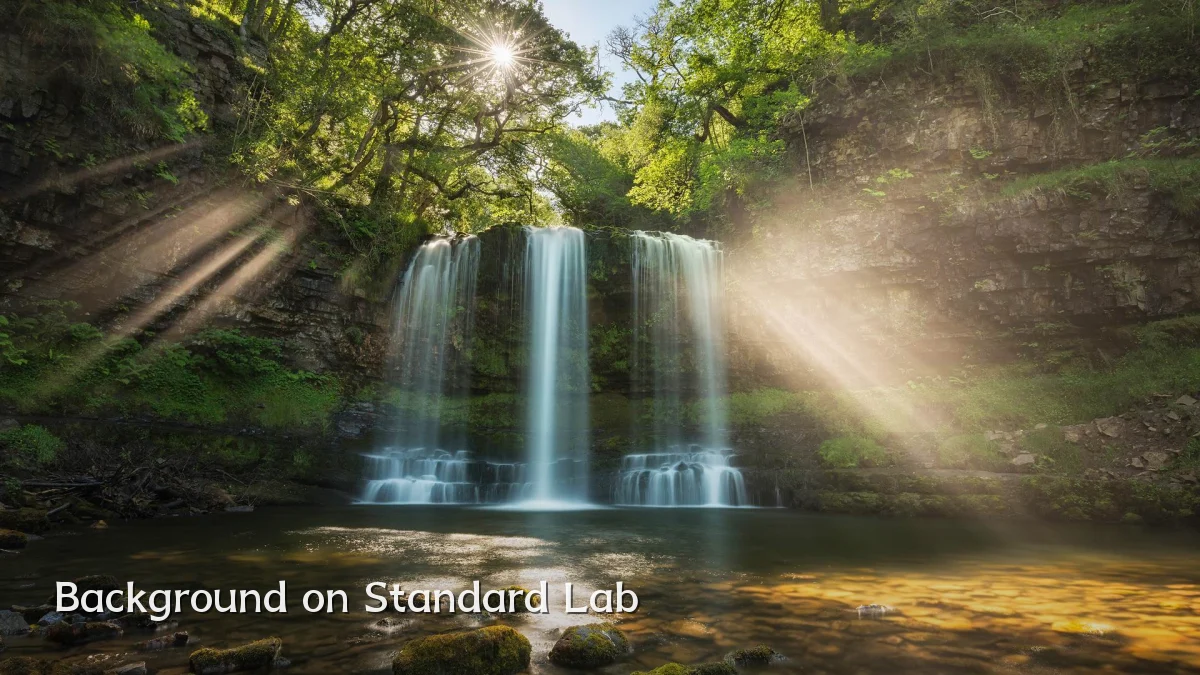Background on Standard Lab
