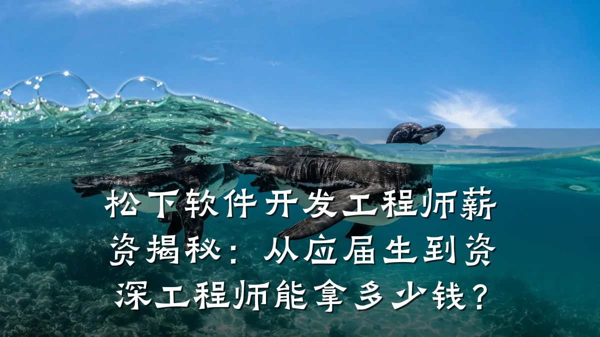 松下软件开发工程师薪资揭秘:从应届生到资深工程师能拿多少钱?