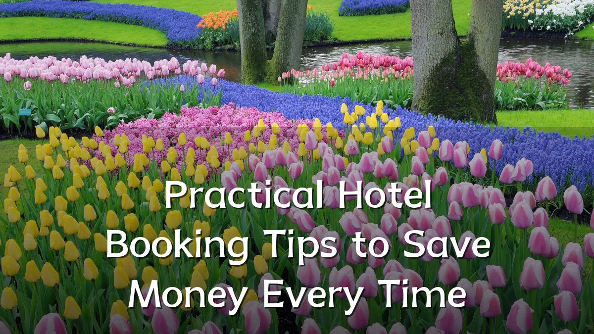 Practical Hotel Booking Tips to Save Money Every Time