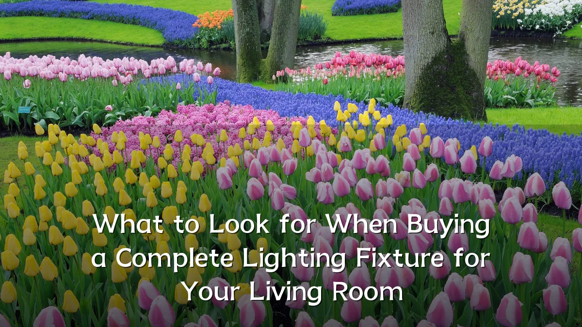 What to Look for When Buying a Complete Lighting Fixture for Your Living Room