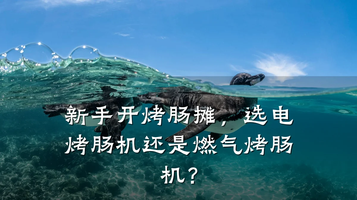 新手开烤肠摊，选电烤肠机还是燃气烤肠机？