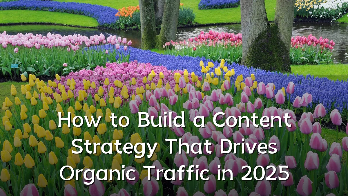 How to Build a Content Strategy That Drives Organic Traffic in 2025