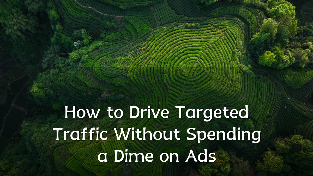 How to Drive Targeted Traffic Without Spending a Dime on Ads