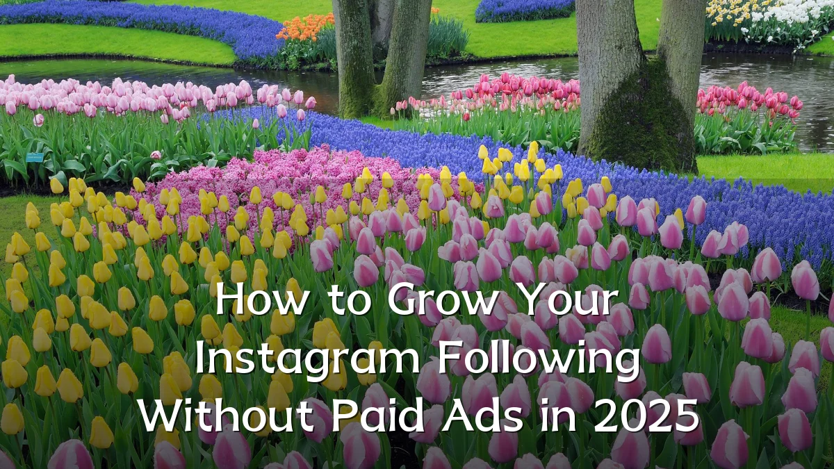 How to Grow Your Instagram Following Without Paid Ads in 2025