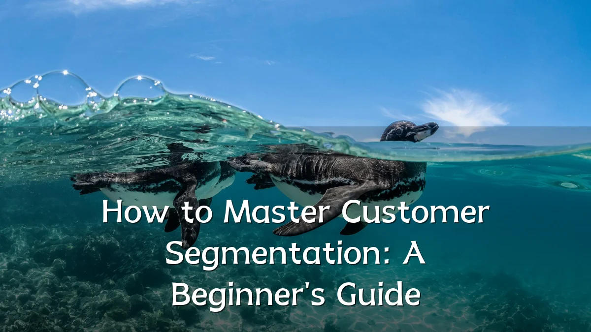 How to Master Customer Segmentation: A Beginner's Guide