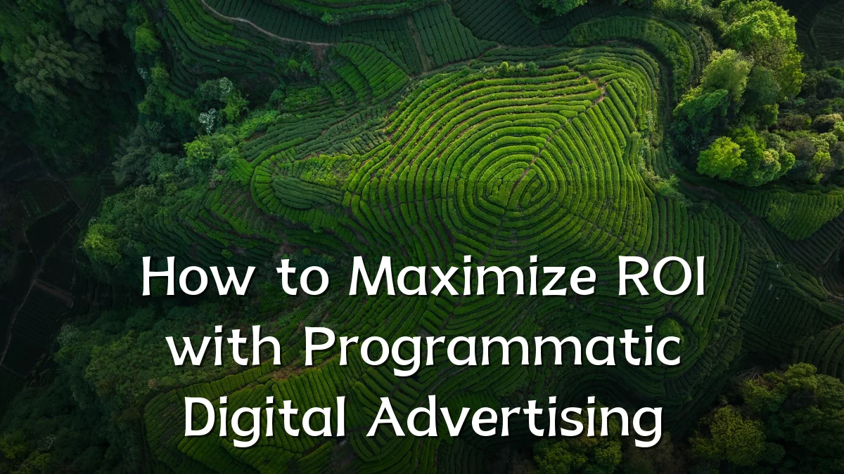 How to Maximize ROI with Programmatic Digital Advertising