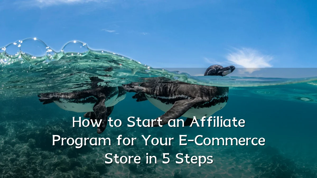How to Start an Affiliate Program for Your E-Commerce Store in 5 Steps