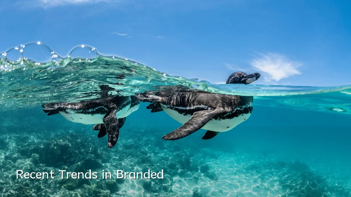 Recent Trends in Branded