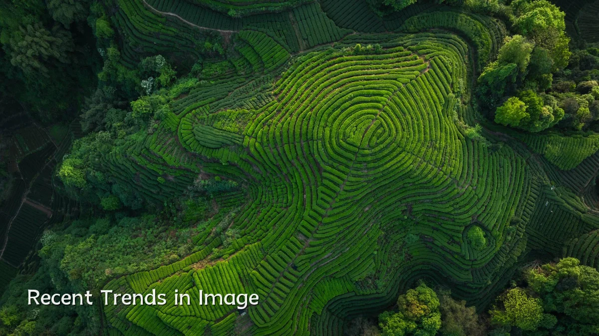 Recent Trends in Image