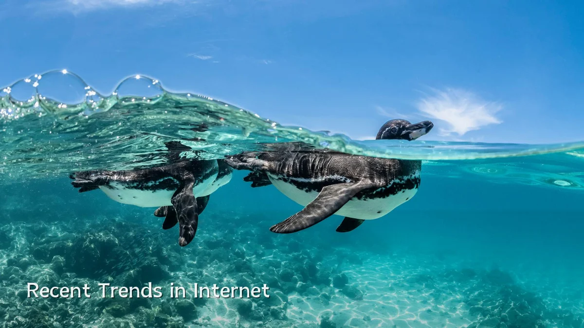 Recent Trends in Internet