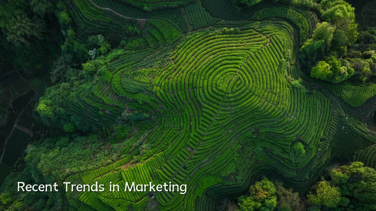 Recent Trends in Marketing