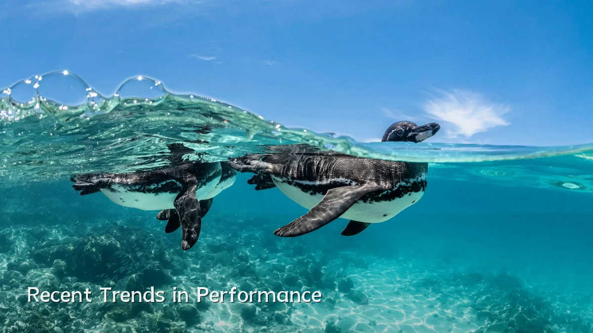 Recent Trends in Performance