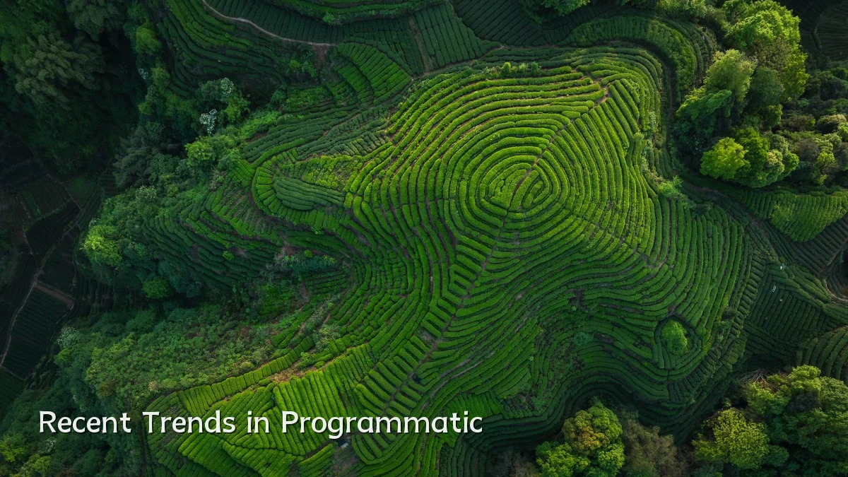 Recent Trends in Programmatic
