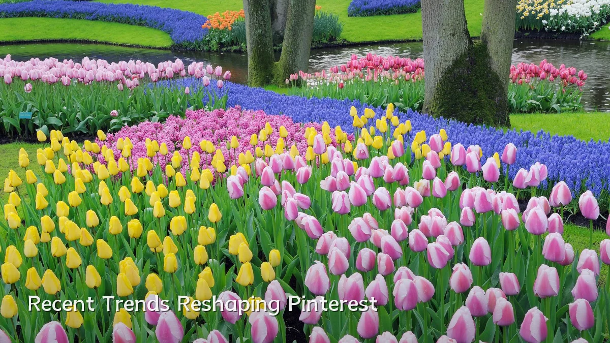 Recent Trends Reshaping Pinterest