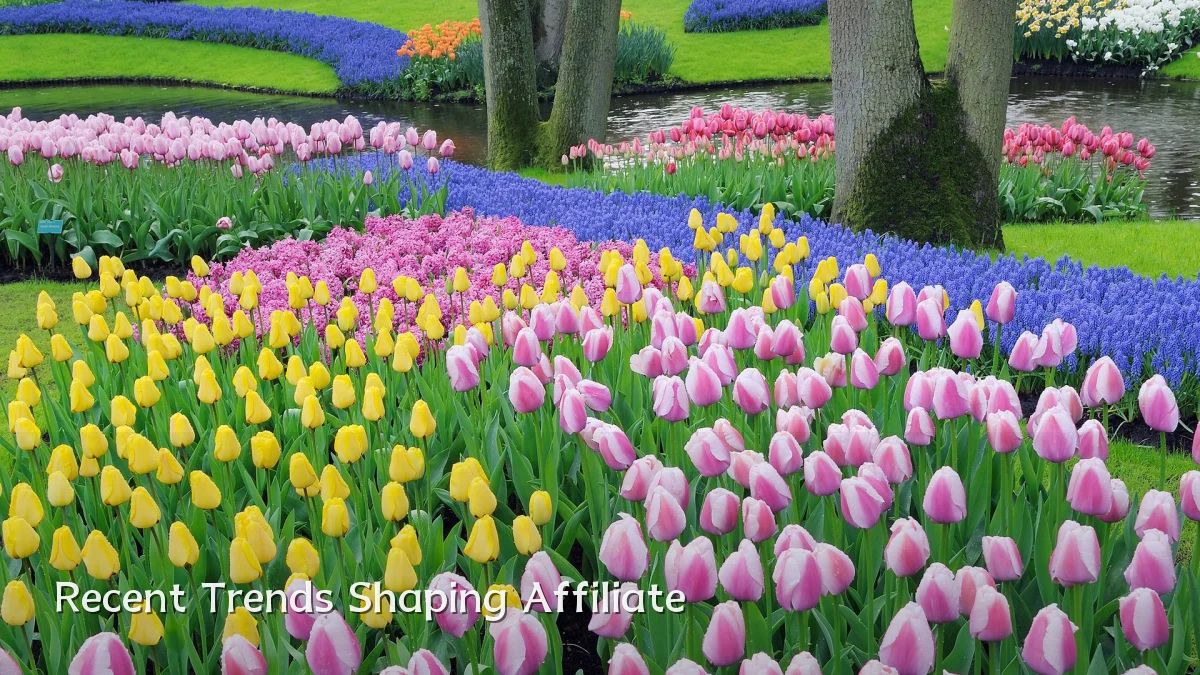 Recent Trends Shaping Affiliate