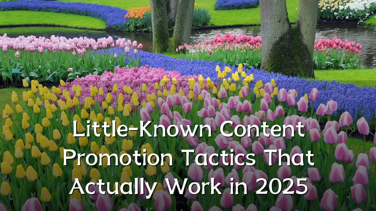 Little-Known Content Promotion Tactics That Actually Work in 2025
