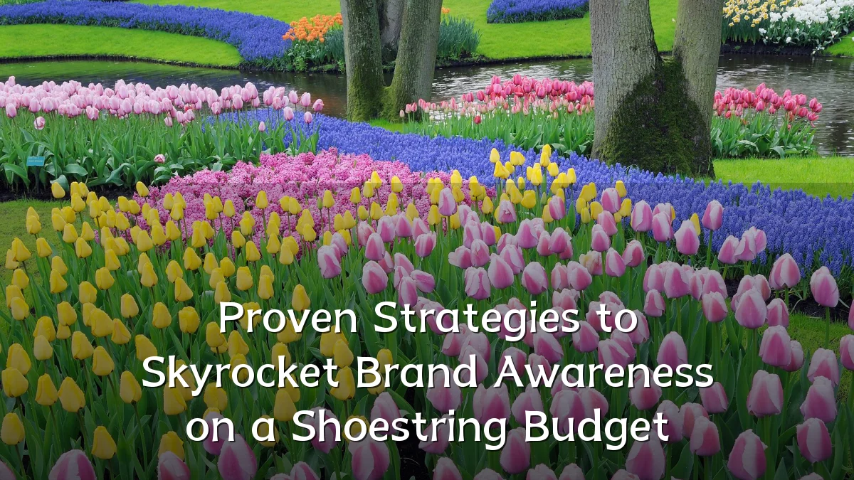 Proven Strategies to Skyrocket Brand Awareness on a Shoestring Budget
