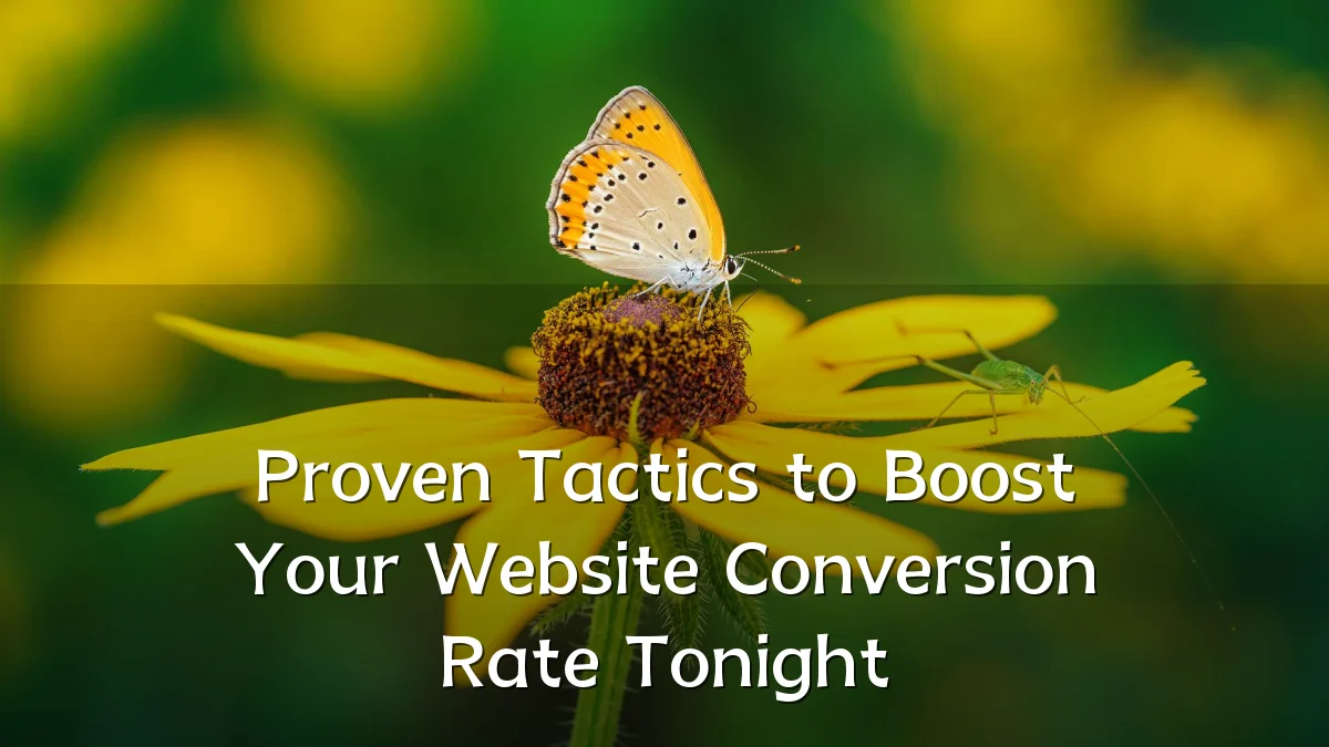 Proven Tactics to Boost Your Website Conversion Rate Tonight