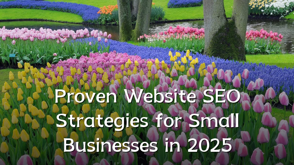 Proven Website SEO Strategies for Small Businesses in 2025
