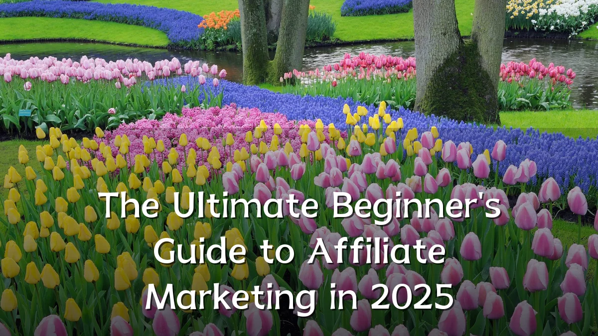 The Ultimate Beginner's Guide to Affiliate Marketing in 2025