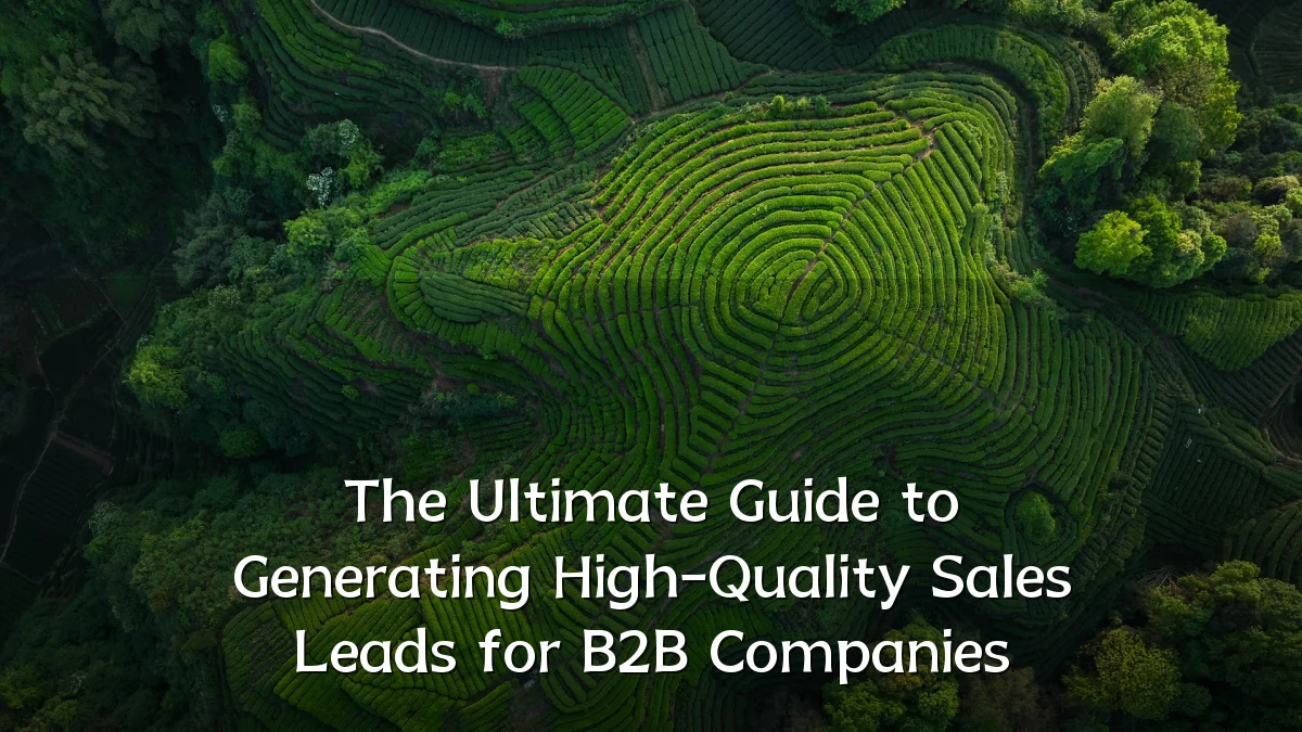 The Ultimate Guide to Generating High-Quality Sales Leads for B2B Companies