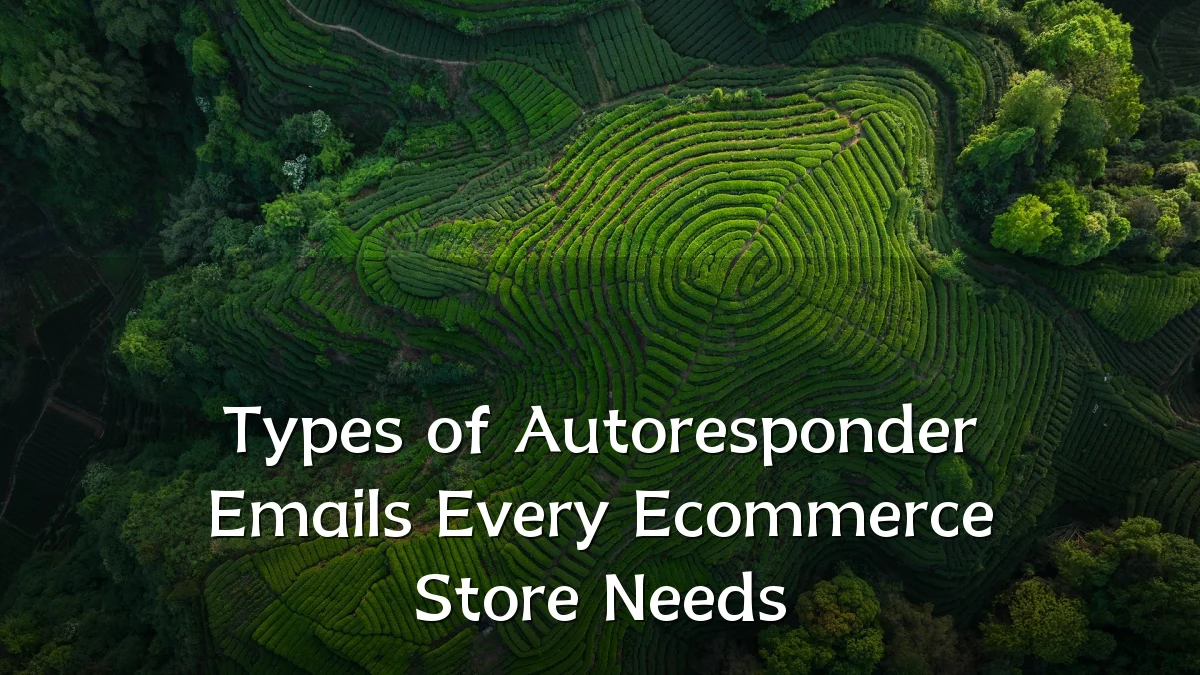 Types of Autoresponder Emails Every Ecommerce Store Needs