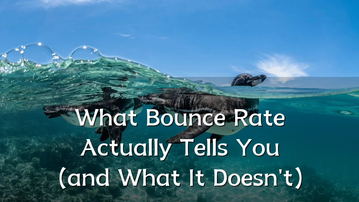 What Bounce Rate Actually Tells You (and What It Doesn't)