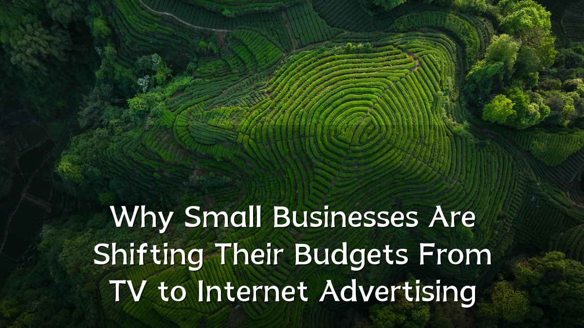 Why Small Businesses Are Shifting Their Budgets From TV to Internet Advertising