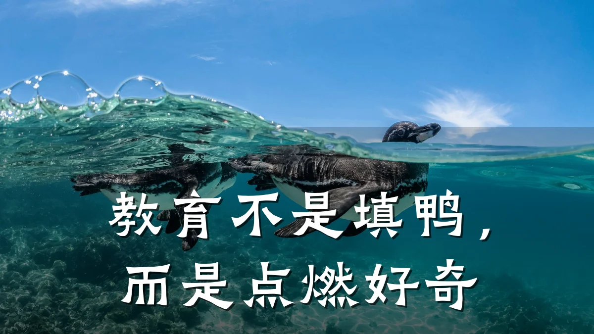教育不是填鸭，而是点燃好奇